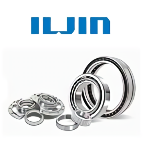 Bearings & Housing  ILJIN-R 1 ~blog/2021/9/23/iljin_r