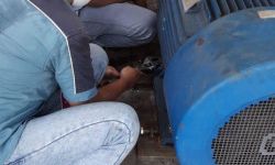 Distributor Bearing Surabaya  Memberikan Layanan Vibration Check